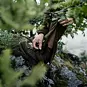 Kalhoty Seeland Chaser Aero - Pine Green